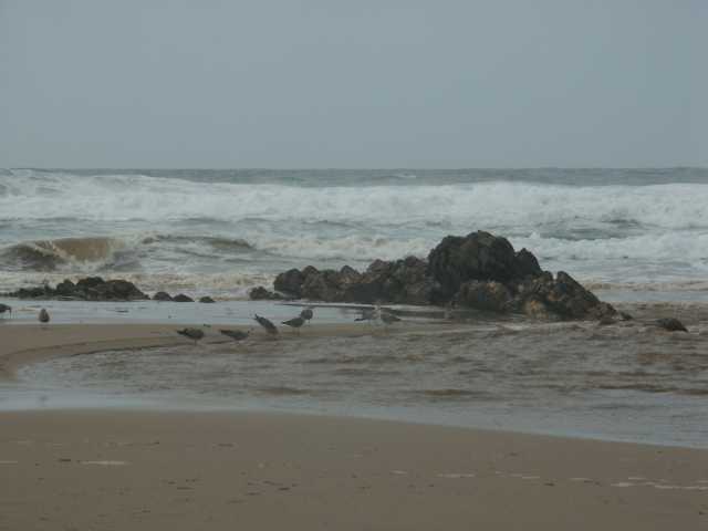 PICT7519.JPG