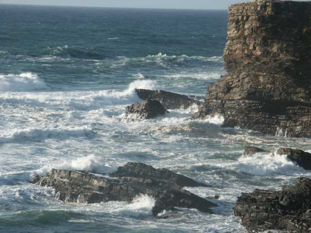PICT7562.JPG