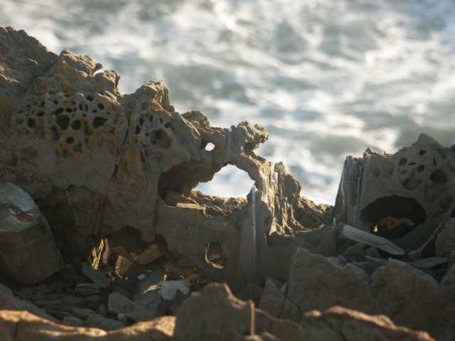 PICT7575.JPG