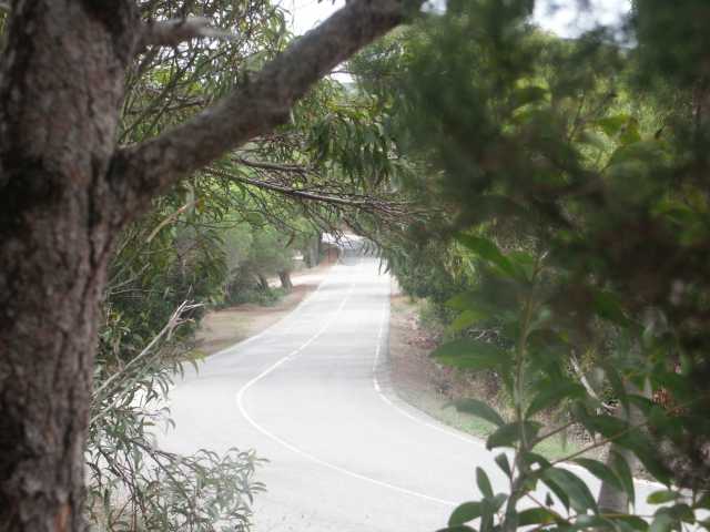 PICT7590.JPG