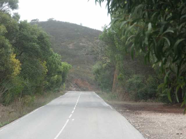 PICT7591.JPG