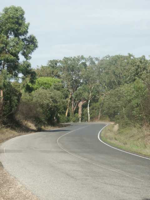 PICT7600.JPG