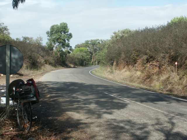 PICT7603.JPG