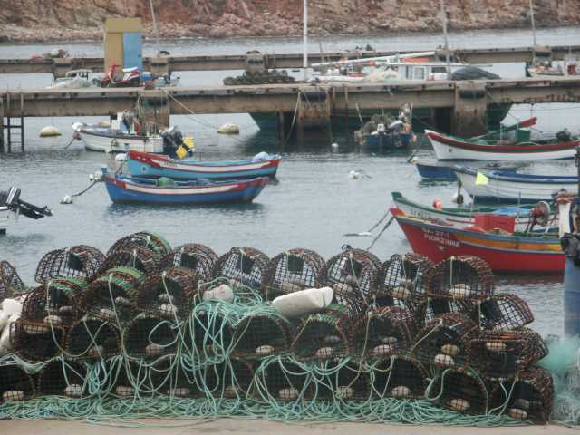 PICT7612.JPG