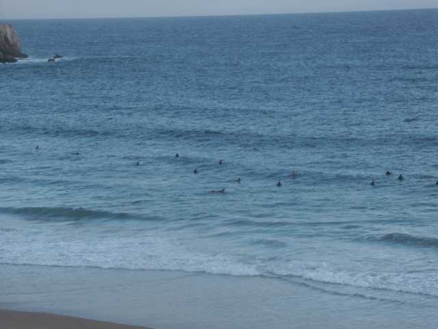 PICT7624.JPG