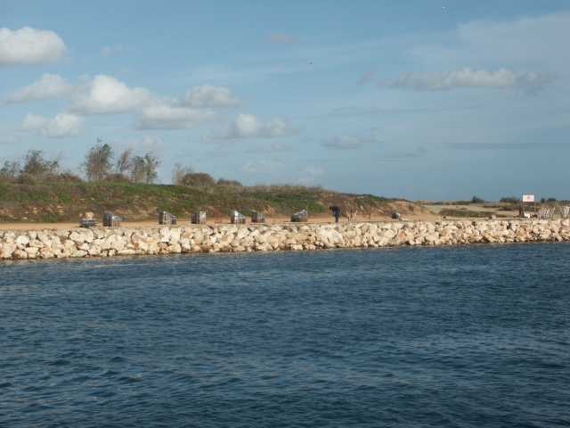 PICT7679.JPG