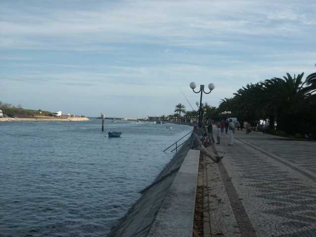 PICT7684.JPG