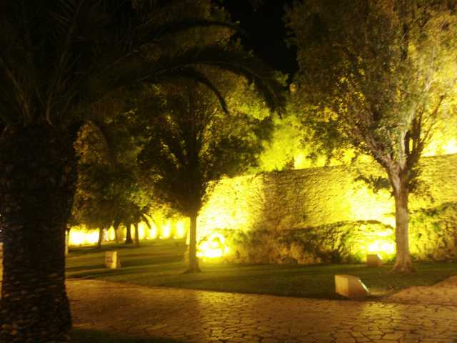 PICT7692.JPG