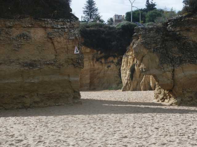 PICT7710.JPG
