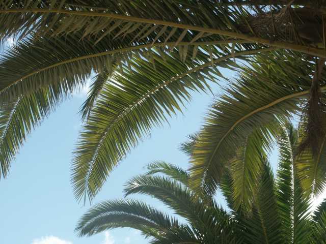 PICT7724.JPG