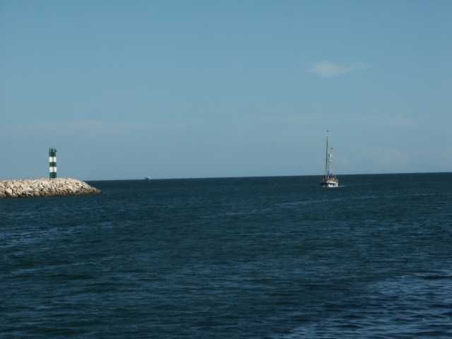 PICT7741.JPG