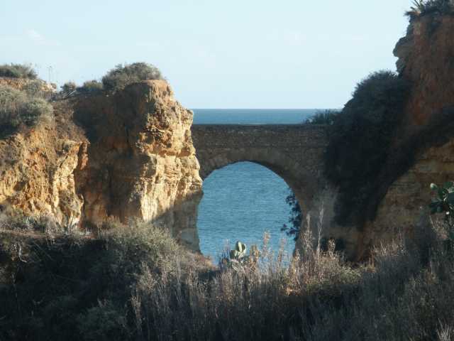 PICT7748.JPG