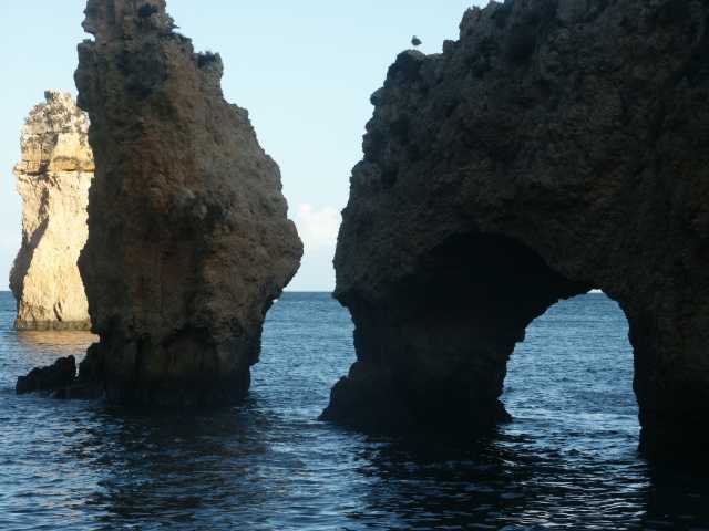PICT7764.JPG