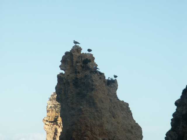 PICT7767.JPG