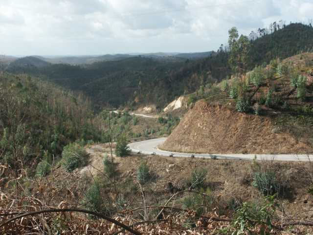 PICT7808.JPG