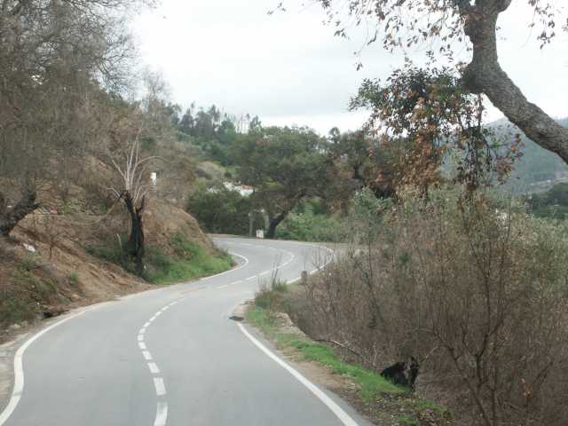 PICT7809.JPG
