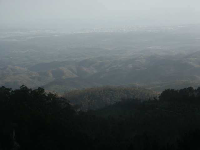 PICT7815.JPG