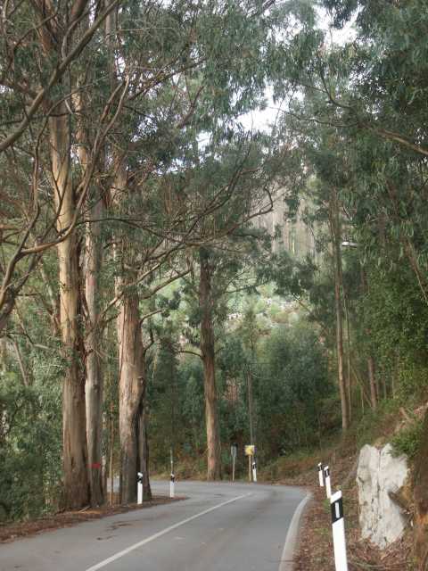 PICT7828.JPG