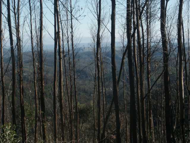 PICT7857.JPG
