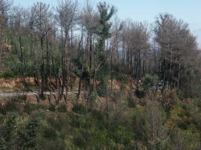 PICT7860.JPG