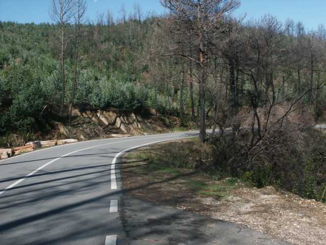 PICT7861.JPG