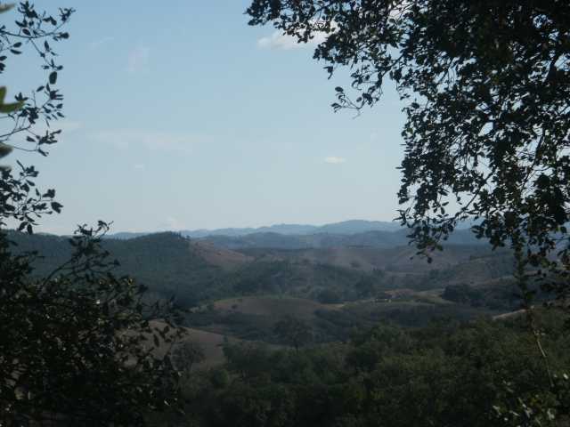 PICT7875.JPG