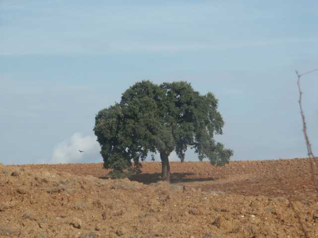 PICT7893.JPG
