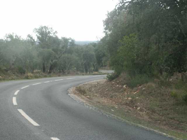 PICT7895.JPG