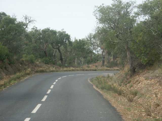 PICT7896.JPG