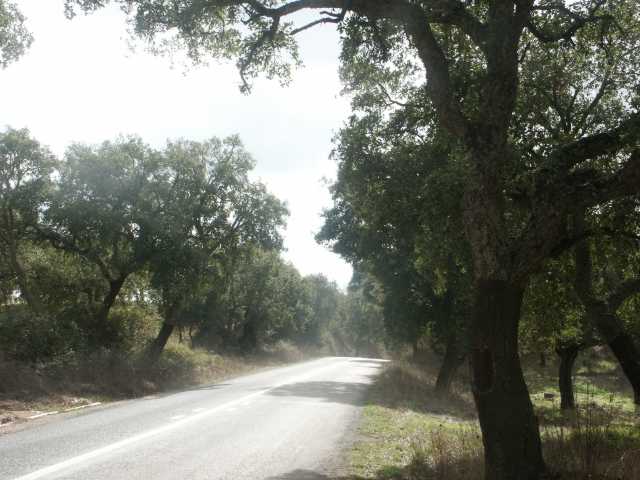 PICT7901.JPG