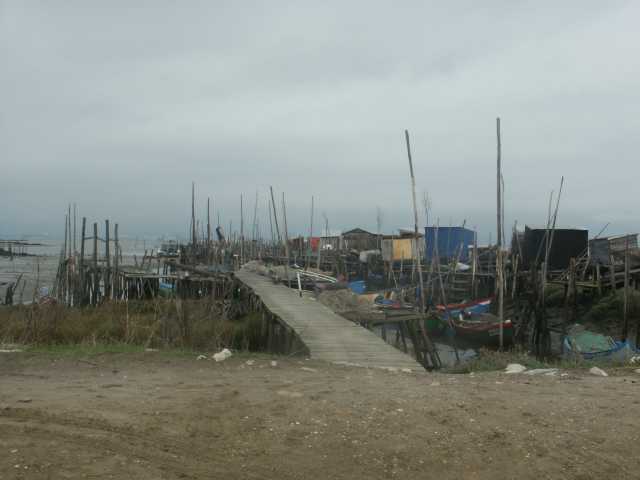 PICT7915.JPG