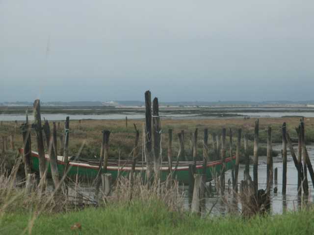 PICT7917.JPG