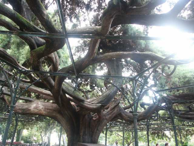 PICT8093.JPG