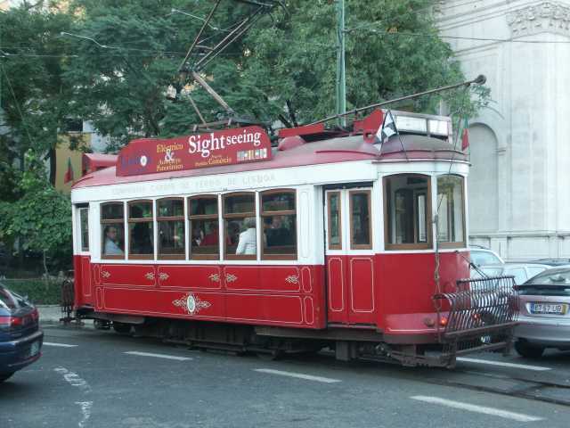 PICT8096.JPG