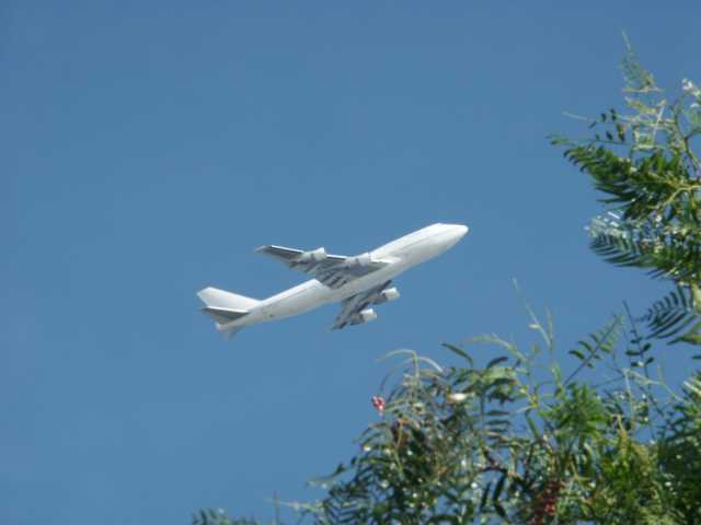 PICT8252.JPG