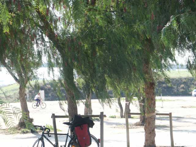 PICT8256.JPG