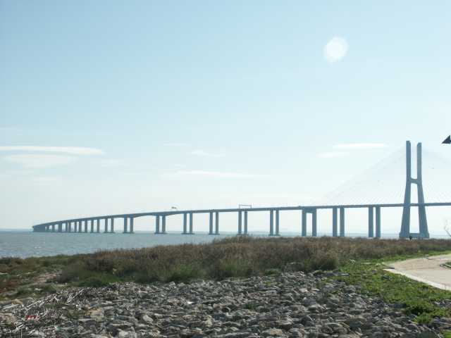 PICT8259.JPG