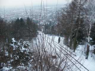 PICT8993.JPG