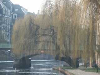 PICT9188.JPG