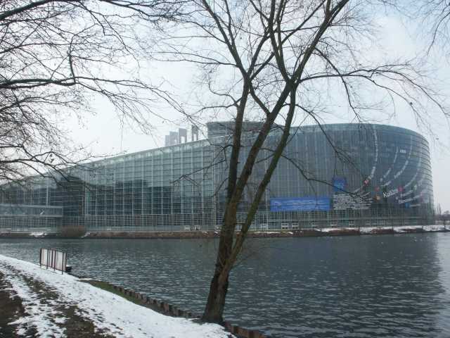 PICT9172.JPG
