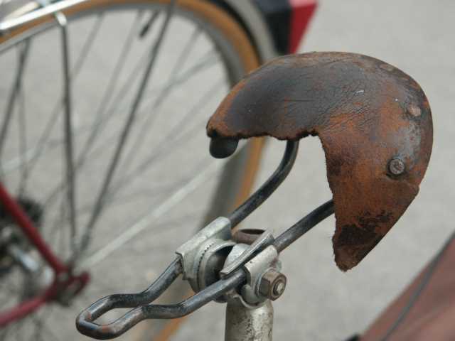 PICT9185.JPG