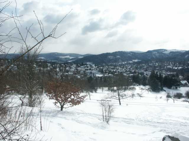 PICT9200.JPG