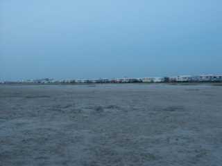 PICT8551.JPG