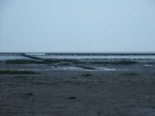 PICT8553.JPG