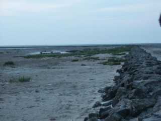PICT8564.JPG