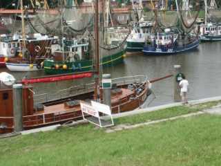 PICT8577.JPG