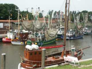 PICT8580.JPG
