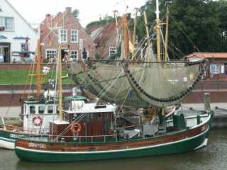 PICT8584.JPG