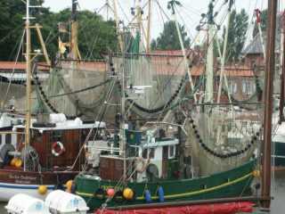 PICT8586.JPG