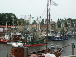 PICT8588.JPG